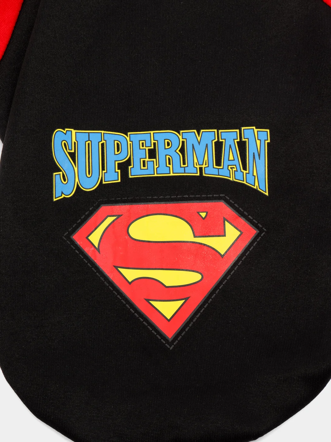 Черный толстовка для собак и кошек Superman, с капюшоном