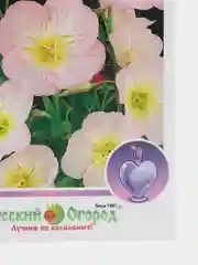 Энотера "Вечерняя роза", семена цветов