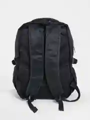 Рюкзак мужской Lion Backpack