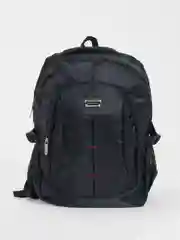 Рюкзак мужской Lion Backpack