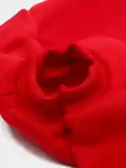 Алый свитер для собак