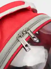 Красный рюкзак переноска для кошек и собак