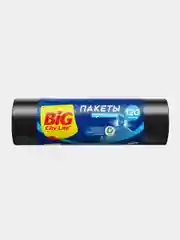 Пакеты для мусора BIG City HD 70x106 см 120л 10 шт чёрные