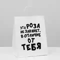 Бежевый пакет подарочный бумажный с приколом