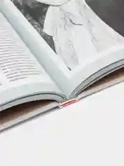 Книга "The Rolling Stones. Иллюстрированная биография", Харвест