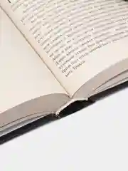 Книга "Непоседа". Сергей Лукьяненко