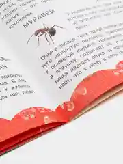 Книга "Знакомимся с миром животных. Пособие для занятий с детьми", Харвест