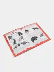 Книга "Знакомимся с миром животных. Пособие для занятий с детьми", Харвест