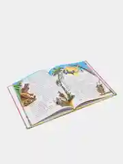 Книга детская "Дикие лебеди", Х. К. Андерсен. Сказки для детей