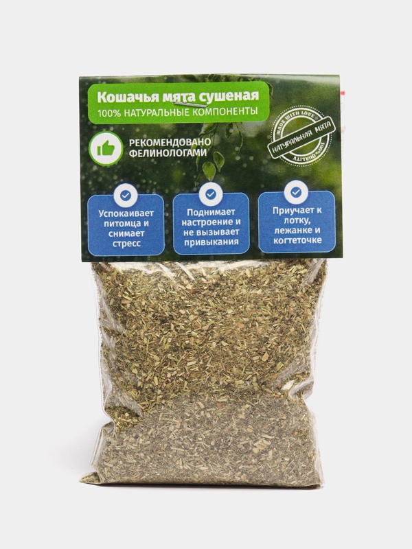 Кошачья мята