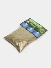 Кошачья мята