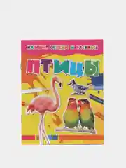 Раскраска "Птицы", для детей 3-6 лет