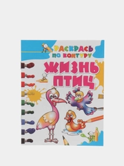 Детская раскраска "Жизнь птиц"