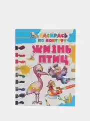 Детская раскраска "Жизнь птиц"