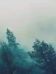 Зелёный хаки коврик для мыши и клавиатуры, 4 принта: пейзаж природы, горы, море, лес, природа, 800 х 300