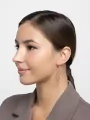 Золотой серьги листья