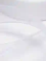 Белый лента органза