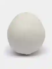 Искусственный череп на Хэллоуин
