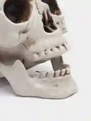 Искусственный череп на Хэллоуин