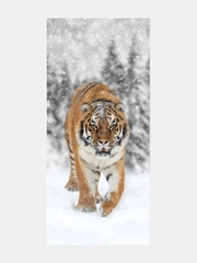 Фотообои Postermarket, WM-141, 119*260