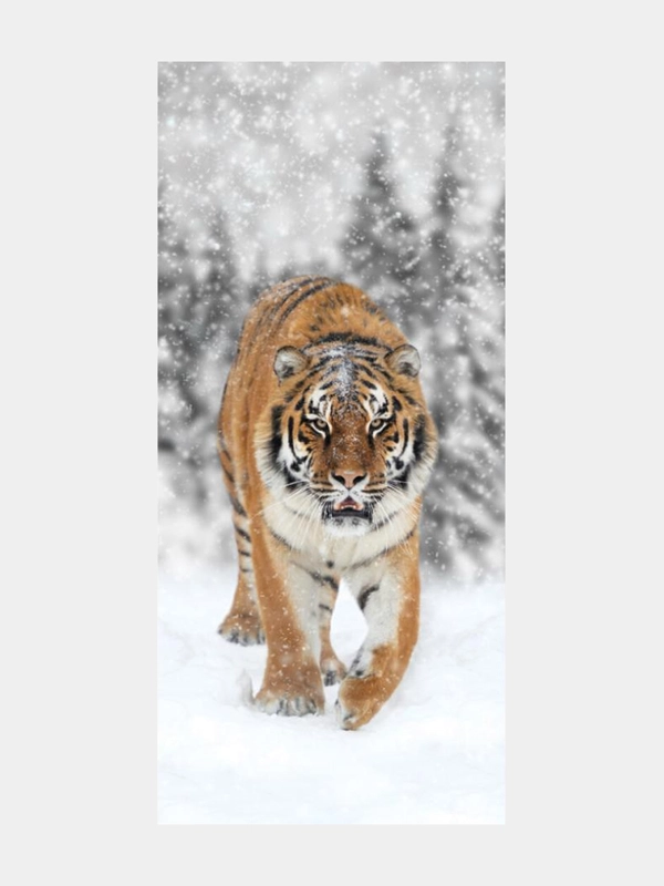 Фотообои Postermarket, WM-141, 119*260