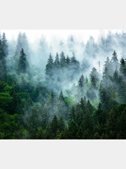 Фотообои флизелиновые Postermarket, WM-154NW, 300*260