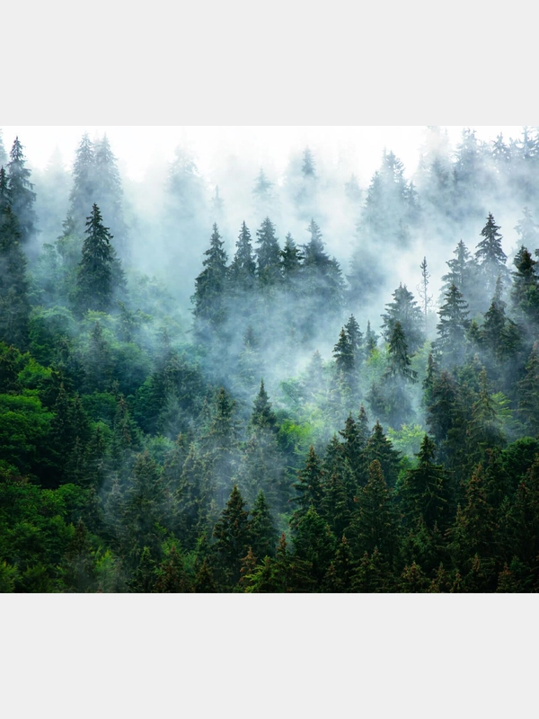 Фотообои флизелиновые Postermarket, WM-154NW, 300*260