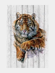 Фотообои Postermarket WM-183, 180*119