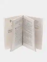 Любовный роман Соблазн Хайди Райс, №394, 396