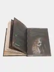 Маленькая злая книга, Магнус Мист