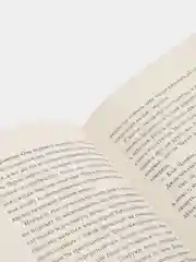 Пять ночей у Фредди. Серебряные глаза (#1), Скотт Коутон, Кира Брид-Райсли