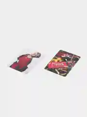 Бордовый карточки K-POP Stray Kids, 55 штук