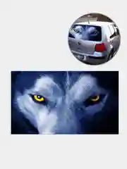 Лазурный 3d наклейка на лобовое стекло автомобиля "Ночные сюжеты"