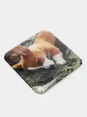 Зеленый 3d стикеры-наклейки (объемные) на телефон,авто,компьютер,планшет