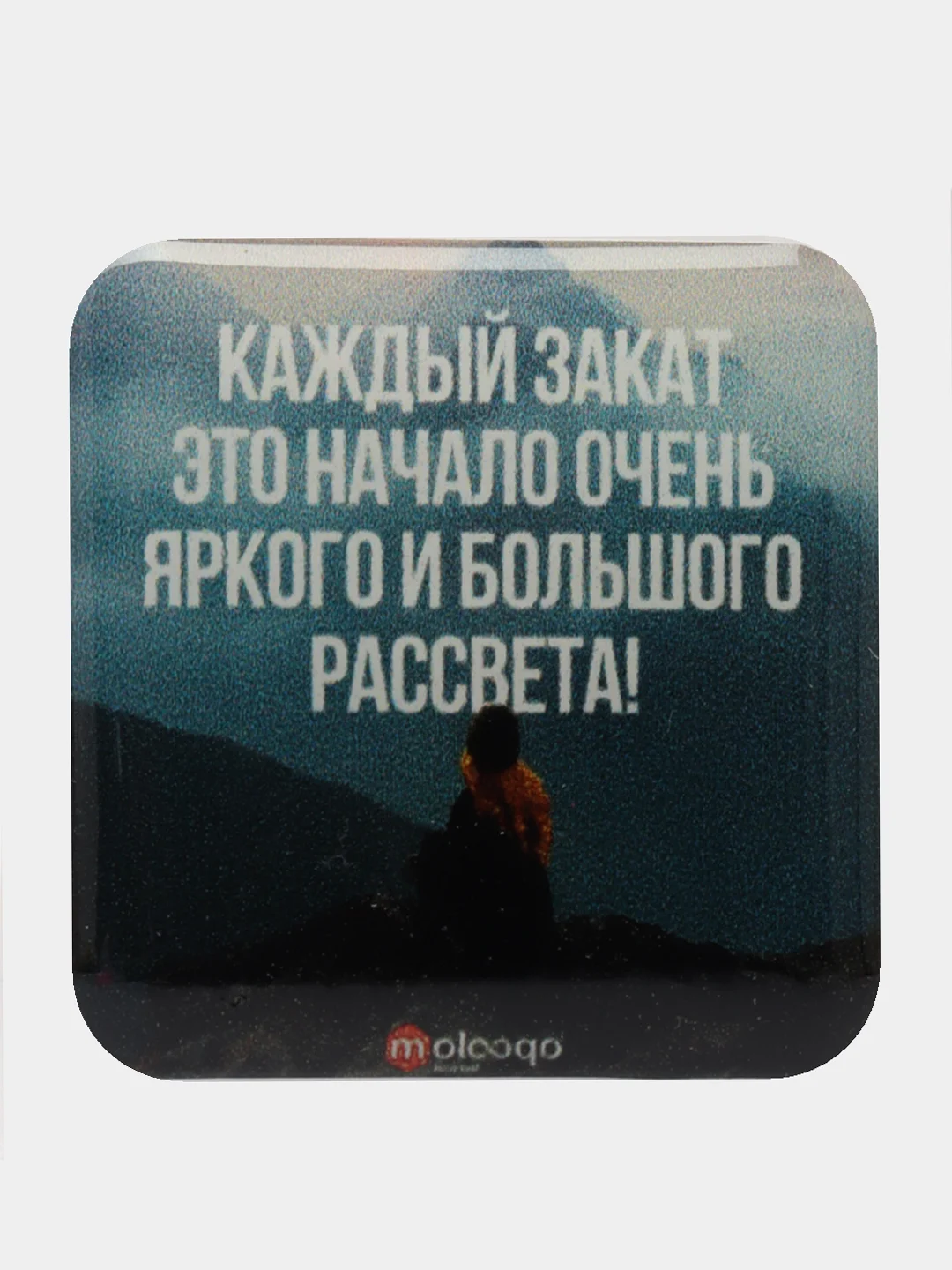 Вишнёвый 3d стикеры-наклейки (объемные) на телефон,авто,компьютер,планшет