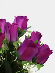 Фиолетовый искусственные розы, букет, 12 шт