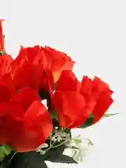 Оранжевый искусственные розы, букет, 12 шт