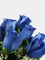 Синий искусственные розы, букет, 12 шт