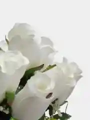 Белый искусственные розы, букет, 12 шт
