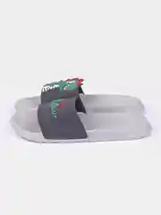 Серый сланцы мужские динозаврики, 3 цвета