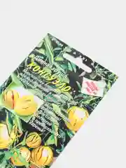 Дынная груша "Консуэло", семена