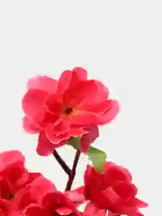 Алый искусственные цветы "Ветка сливы"