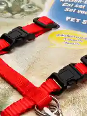 Красный шлейка для кошек с поводком 9 цветов