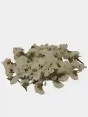 Белый сухоцветы (Статица)