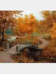 Золотой алмазная мозаика, 35 х 25