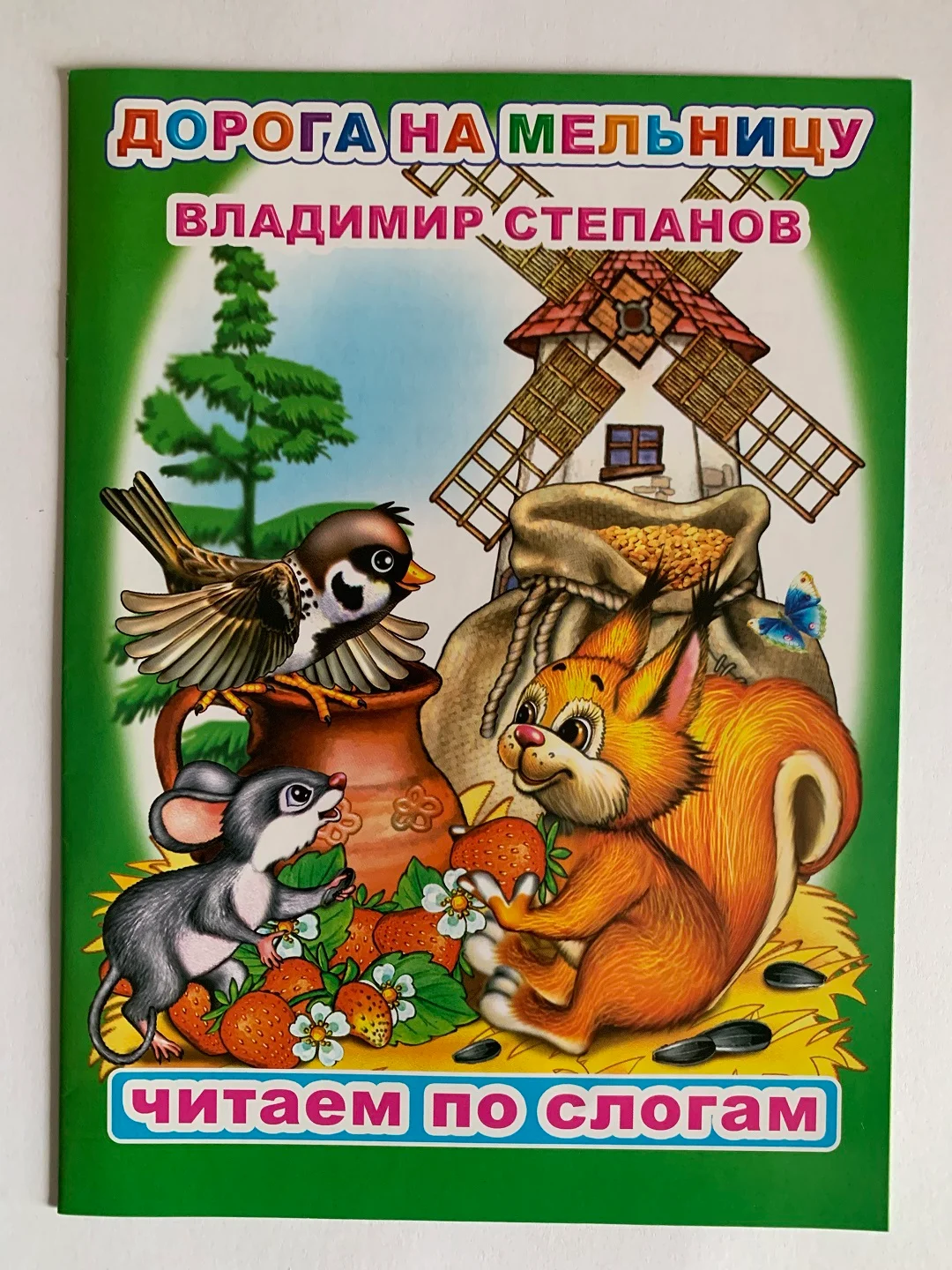 Сказки для детей с 5 лет "Читаем по слогам". Владимир Степанов. Книга для чтения детьми