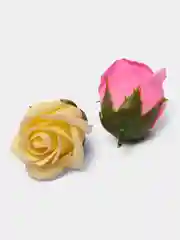 Манго бутоны мыльных роз, 50 штук