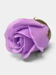 Кремовый бутоны мыльных роз, 50 штук
