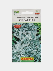Семена "Цинерария Океаника"