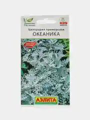 Семена "Цинерария Океаника"